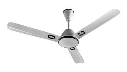 fans preview