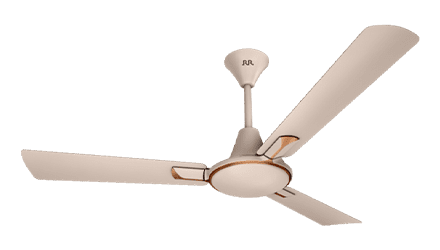 fans preview