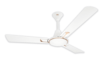 fans preview
