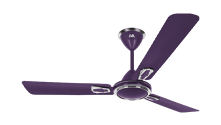 fans preview