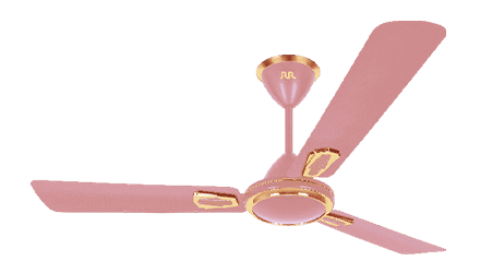 fans preview