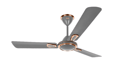 fans preview