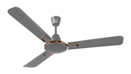 fans preview