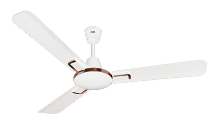 fans preview