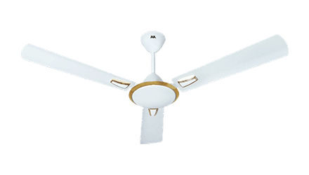 fans preview