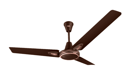 fans preview