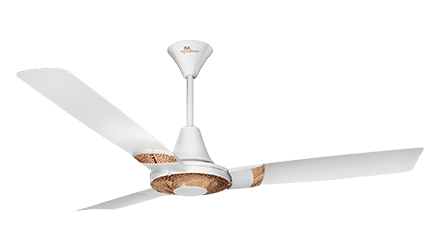 fans preview