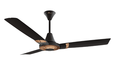 fans preview