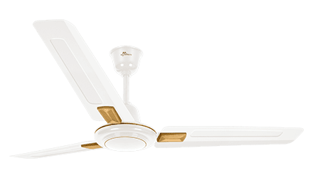 fans preview