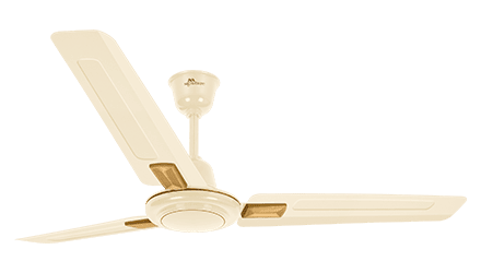 fans preview