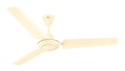 fans preview