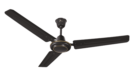 fans preview