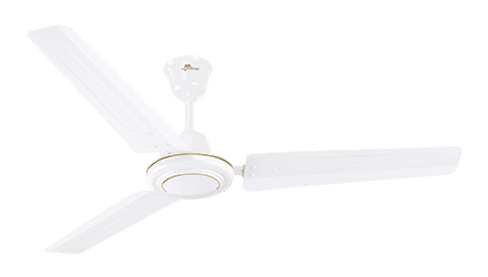 fans preview