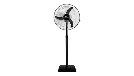 fans preview