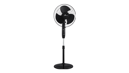fans preview