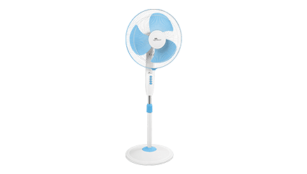 fans preview
