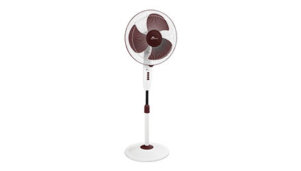 fans preview
