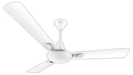 fans preview