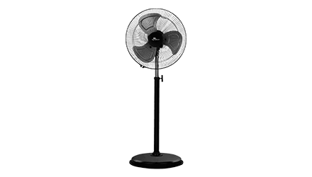 fans preview