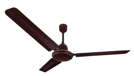 fans preview
