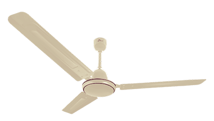 fans preview
