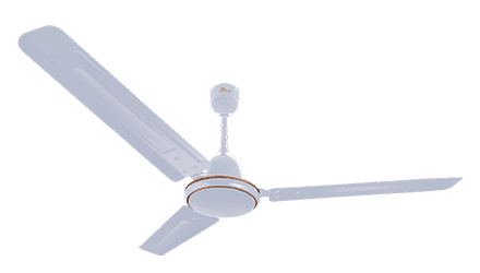 fans preview