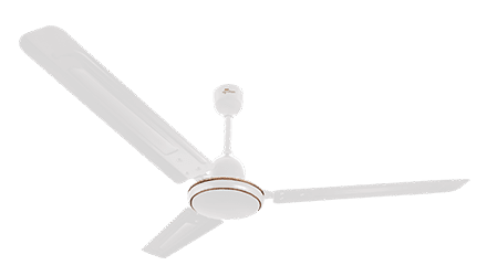 fans preview