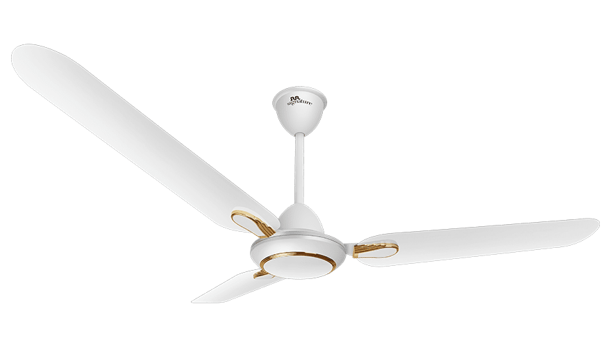fans preview