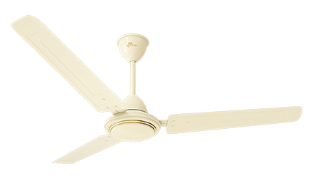 fans preview