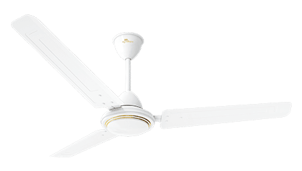 fans preview