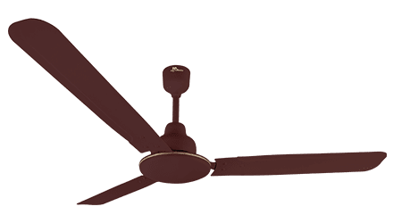 fans preview