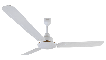 fans preview