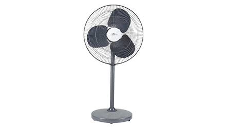 fans preview