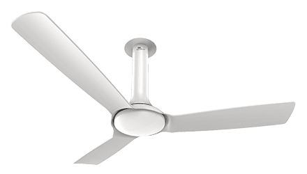 fans preview