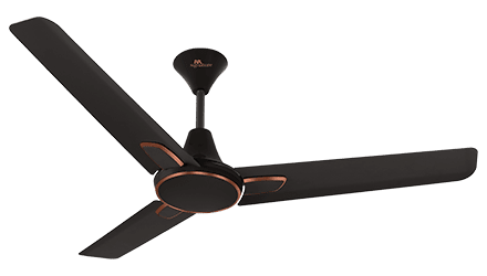 fans preview