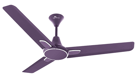 fans preview