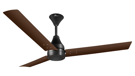 fans preview