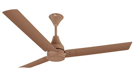 fans preview