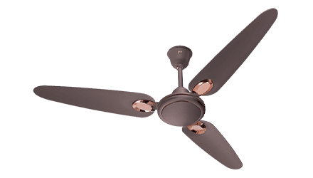 fans preview