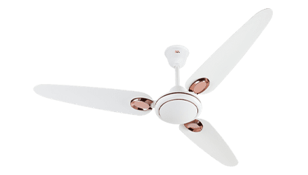 fans preview
