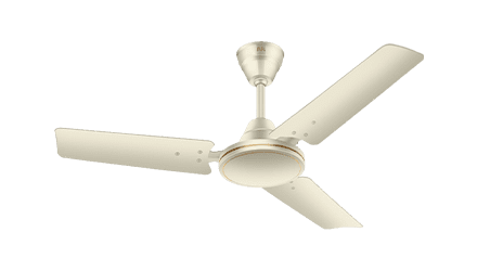 fans preview