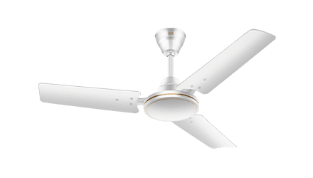 fans preview