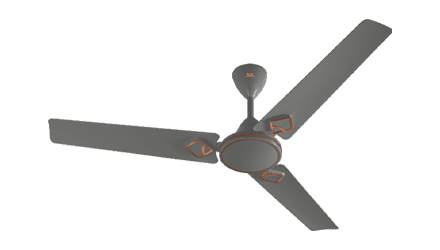 fans preview