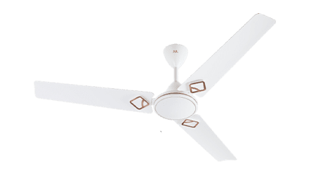 fans preview
