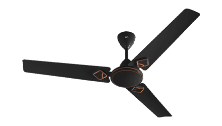 fans preview