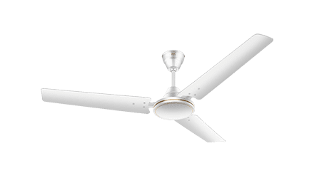 fans preview