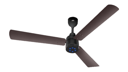 fans preview