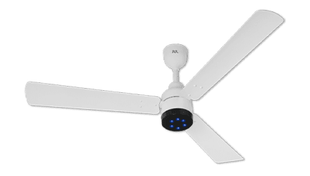 fans preview