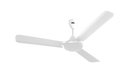 fans preview