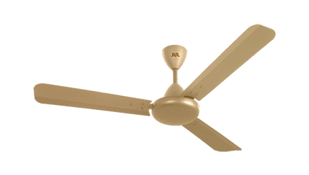 fans preview